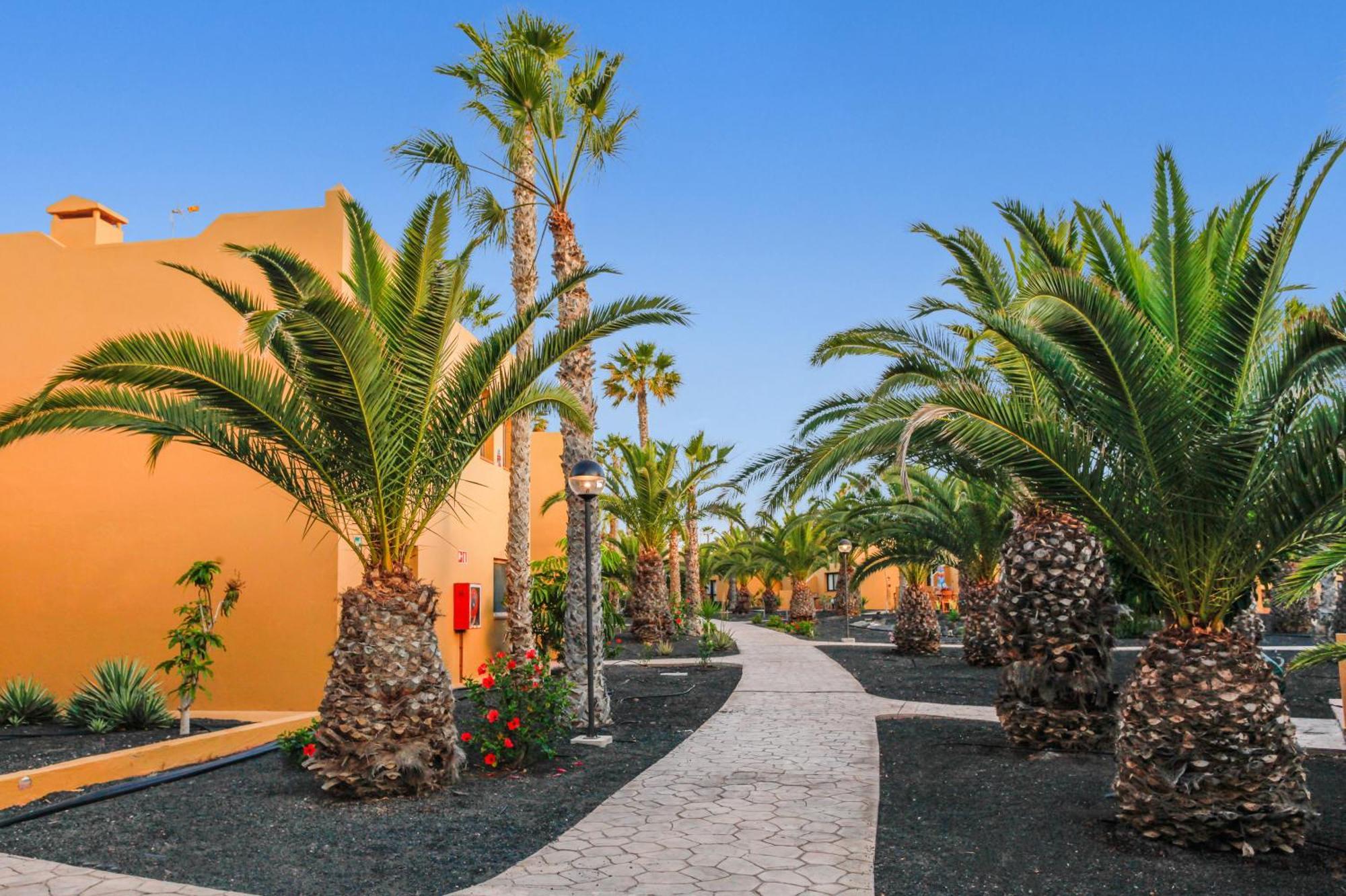 Apartamento Papagayo Corralejo Exterior photo